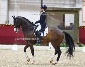 Justine Ludot and San Cloud's Lucky at the 2024 CDI Kronenberg Indoor :: Photo © Astrid Appels