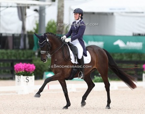 Allison Nemeth on Leviathan at the 2024 CDI Wellington :: Photo © Astrid Appels