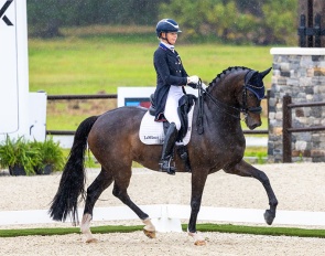 Katherine Bateson Chandler took the top spot in the Zen Elite CDI3* Grand Prix Special with Haute Couture on a score of 69.468% :: Photo © Jessica Buehler