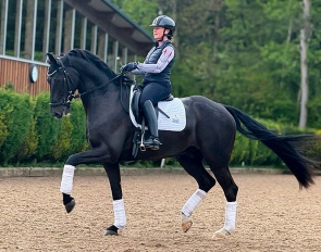 Salazar VIP (by San Amour x Quantensprung)