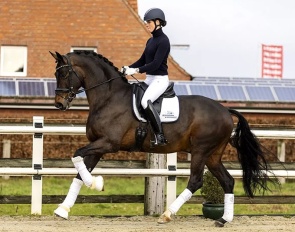 Friederike Kampmeyer and Taurus in 2022 :: Photo © Equigeniek