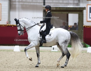 Fry and Especial at their last CDI as a pair: the CDI Kronenberg Indoor in December 2024 :: Photo © Astrid Appels