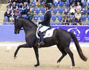 Alexandra Vodermair and Exact in the national young horse classes at the 2024 CDI Sydney :: Photo © Simon Scully