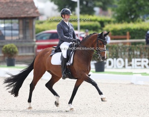 Betrand Liegard and Ginger at the 2025 CDIO Lier :: Photo © Astrid Appels