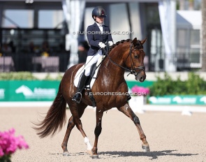 Hope Cooper and O Romeo S at the 2025 CDI Wellington :: Photo © Astrid Appels