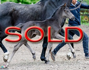Sold to France