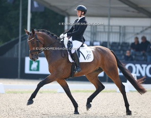 Hagels Rosophia at last year's World Young Horse Championships under Victoria Aro :: Photo © Astrid Appels