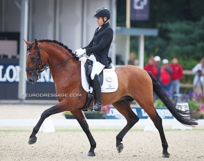 Joao Oliva and Orion de la Gesse at the 2024 World Young Horse Championships :: Photo © Astrid Appels