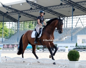 Ingrid Klimke schooling Vayron in the Aachen dressage stadium on vet check day :: Photo © Barbara Schnell