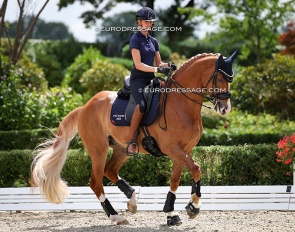 Tesse Kole and the 7-year old Nachtwacht during the ring familiarisation at the 2025 European Young Riders Championships :: Photo © Astrid Appels