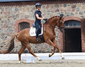 Selina Solberg Vittinghus on Atterupgaards Daimi :: Photo © Ridehesten