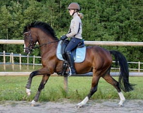 Beukenhof's Giovanni 