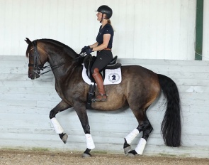 Näsviks Hazel Grace (by Bretton Woods x Sandro Hit)