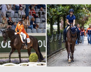 Jonna and Micky Schelstraete are looking for a groom and working student to join them in The Netherlands