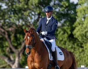 Bernat Barrachina and Elvis competing in the young horse masters at the 2025 Spanish Dressage Championships at Las Cadenas :: Photo © Lily Forado