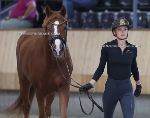 Austrian team newcomer: Bettina Kendlbacher and Broadmoars Don Alfredo :: Photo © Astrid Appels