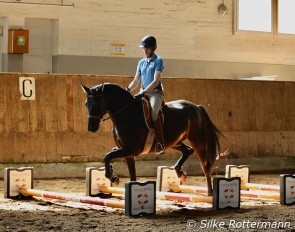 Fanti active and in a soft contact over the cavaletti :: Photo © Silke Rottermann