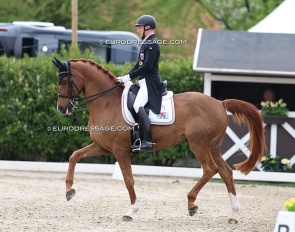 Nicolas Wagner on Quater Back Junior at the 2025 CDI Sint-Truiden :: Photo © Astrid Appels