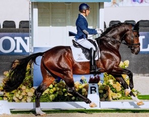 Alfonso De la Chica Parras and Fänomen de Malleret in the 4-year old national class held during the 2022 World Young Horse Championships :: Photo © Digishots