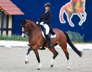 Beliza at the 2024 CDI Hagen :: Photo © Astrid Appels