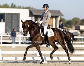 Alejandro Sanchez del Barco and the Oldenburg stallion Eterno win the 4-year old division at the 2025 Spanish Young Horse Championships :: Photo © Lily Forado