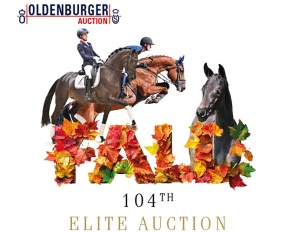 Oldenburg Fall Elite Auction on 3 October 2025
