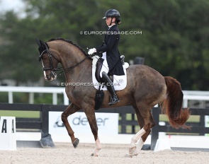 Canadian Alexandra Reid on Flynn at the 2024 CDN Wellington :: Photo © Astrid Appels