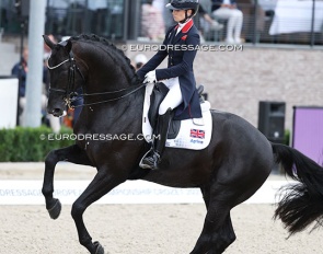 The highest ranked KWPN horse on the 2025 studbook ranking in fourth place: Glamourdale :: Photo © Astrid Appels
