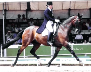Trish Gardiner on Throughbred Wily Imp xx at the 1987 European Dressage Championships :: Photo © Elisabeth Weiland