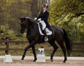 Parangons Jackpot (by San Amour x Cobra)