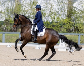 Brittney Simpson on Goldfinch at the 2025 CDI Calgary :: Photo © Jesse Campbell
