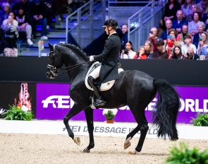 Justin Verboomen and Zonik Plus at the 2025 CDI-W Lyon :: Photos © Lukasz Kowalski
