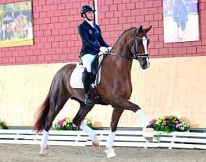 Donation PS at Paul Schockemöhle's station in Mühlen, Germany