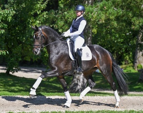 Fleur du Monde, a daughter of For Romance II × Totilas