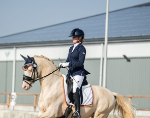 Cream de Luxe DV (by Cassanova du Bois x Veenstra’s Promise)