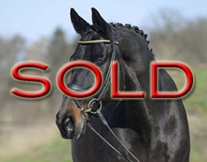 Akeno (by All Inclusive x Insterburg)