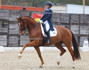 Nadine Capellmann on Waitoni at the 2023 CDI Sint-Truiden :: Photo © Astrid Appels