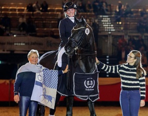 Herakles was named Trakehner Stallion of the Year 2025 in Neumunster :: Photo © Stefan Lafrentz