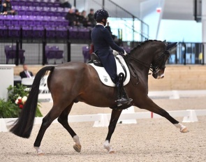 Meagan Davis and Toronto Lightfoot at the 2025 CDI-W Ocala :: Photo © Andrew Ryback