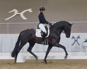Sina Aringer and Grey Tonic PS at the shortened Suitability test in Verden