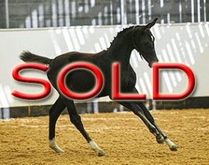 Fidearhart (by Fidertanz x Dancier)