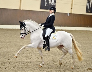 Adult Danica Duen on the Westfalian stallion Gold Garant at the 2024 CDN Ankum :: Photo © Mhisen