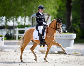Kate Jansen on FS Mr Magic at the 2024 CDIO Compiegne :: Photo © Astrid Appels