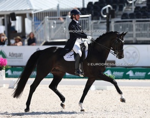 Catherine Haddad and Sola Diva in the developing PSG horse tests at the 2024 CDIO Wellington :: Photo © Astrid Appels