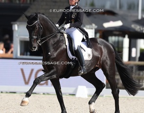 Isabell Werth and Special Blend at the 2025 CDIO Lier :: Photo © Astrid Appels