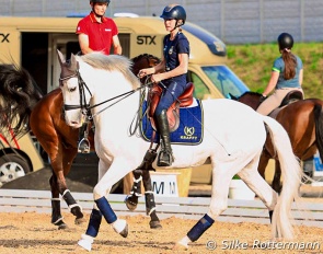 Swedish Grade 5 rider Lotta Wallin brought both her championships horses to Mannheim, here the PRE stallion Enebro SB :: Photo © Silke Rottermann