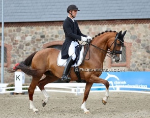 Daniel Bachmann Andersen and Diva Pilekaer at the national show in Vilhelmsborg :: Photo © Ridehesten