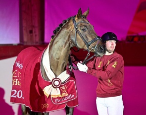 Floricello proclaimed elite sire at the 2026 DSP Stallion Licensing in Munich :: Photo © Björn Schroeder.