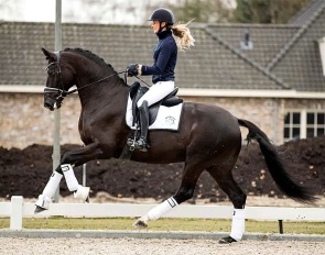 Lowlands OLD (by Millennium x Donnerball)