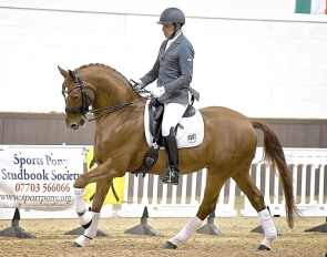 Woodlander Wavavoom :: Photo © Horse Power Creative